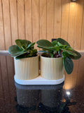 Twinda Duo plantenpot set