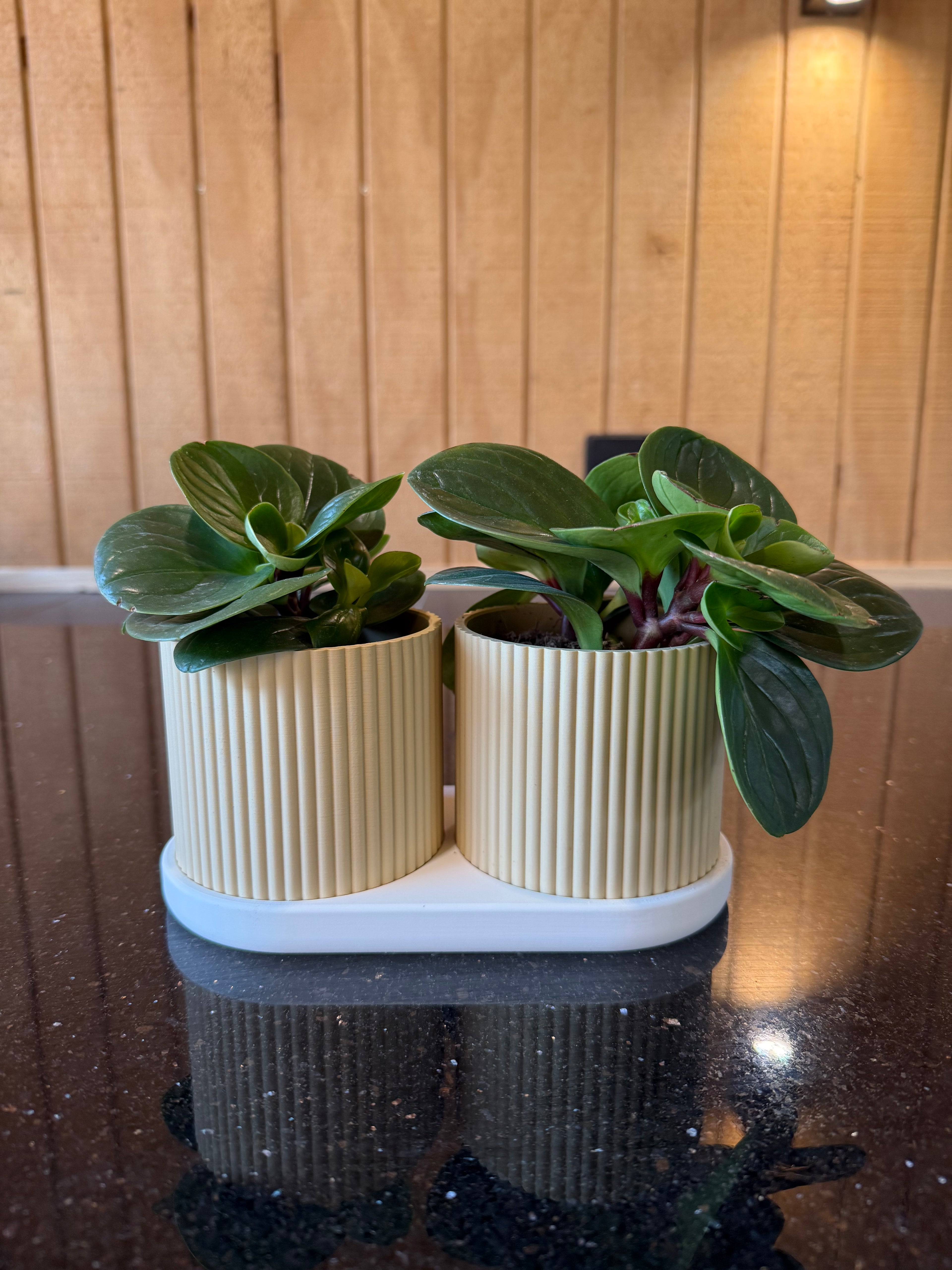 Twinda Duo plantenpot set
