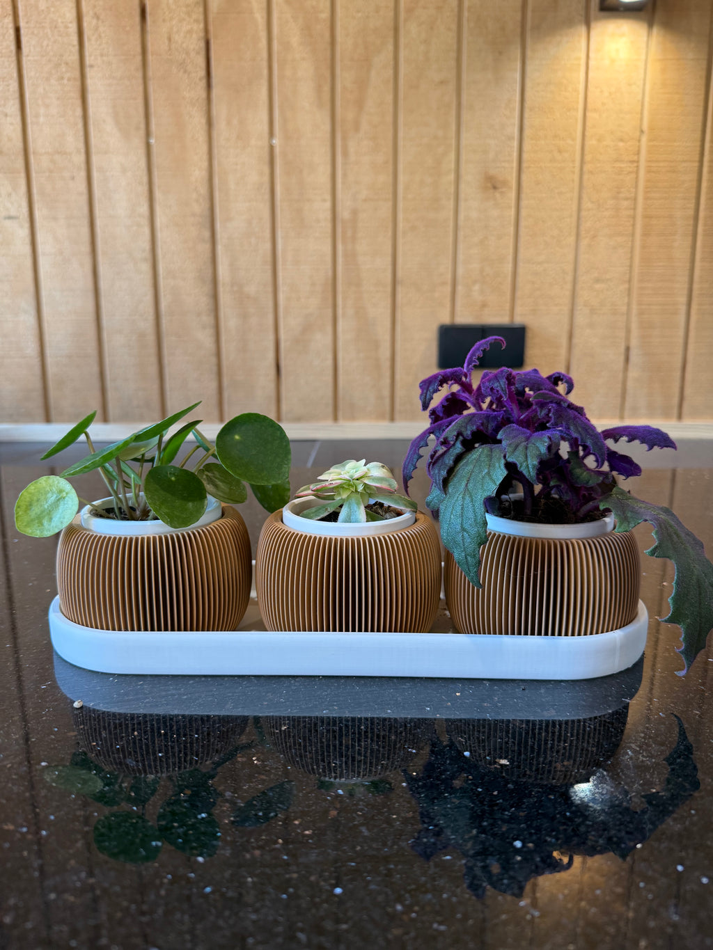 Triolam Mini plantenpot set