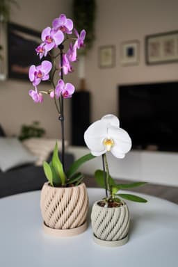 Aeris Orchidee plantenpot set