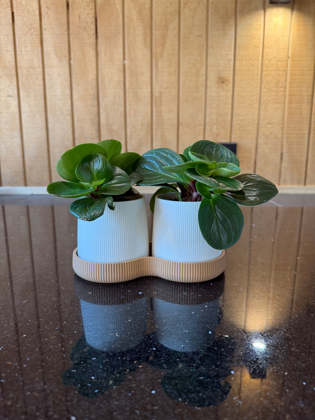 Twinda Duo II plantenpot set